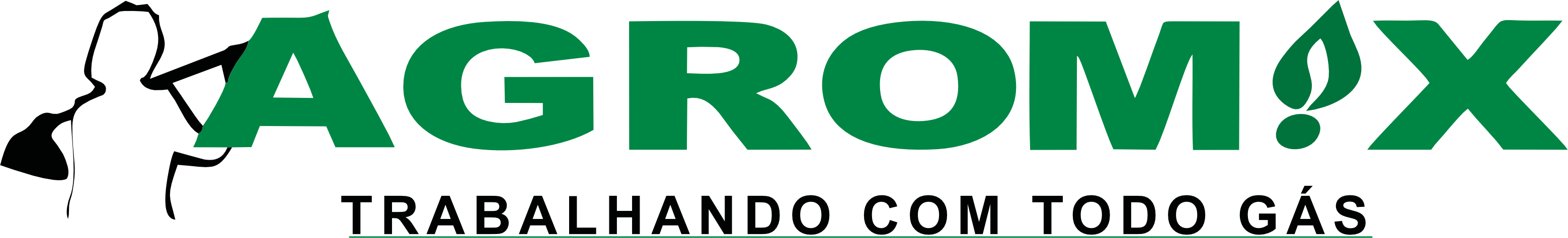 logo transparente